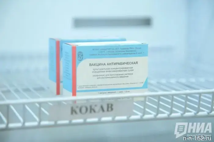 A rabies quarantine has been imposed in Lenin Sloboda in Kstovo.