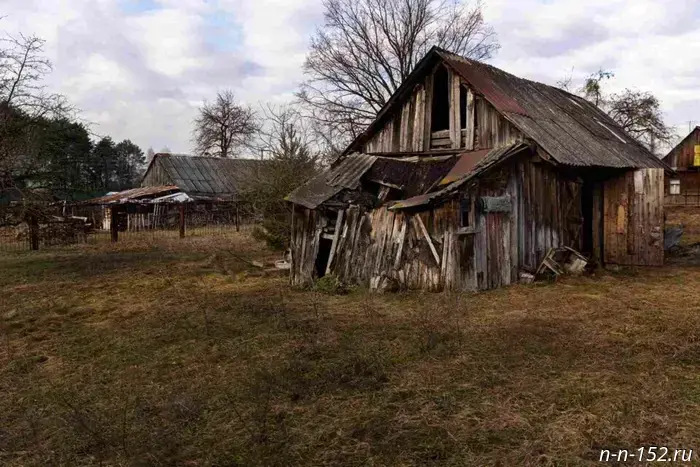The rural settlement of Polevoy will be abolished in Nizhny Novgorod Oblast.
