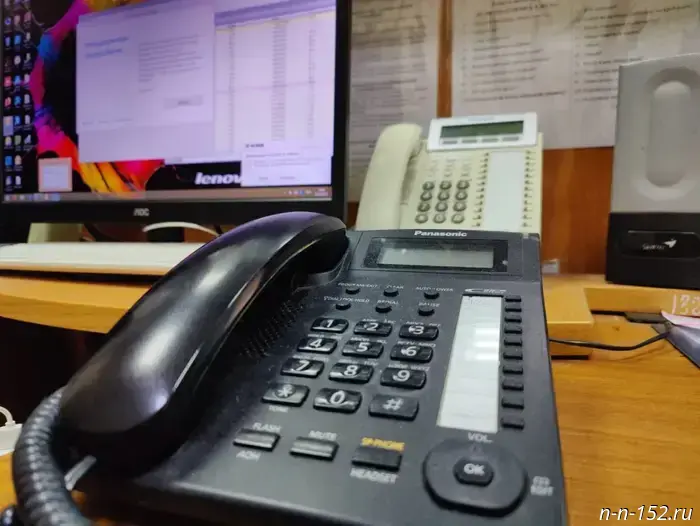 In 2025, the forestry dispatch service received 176 inquiries.