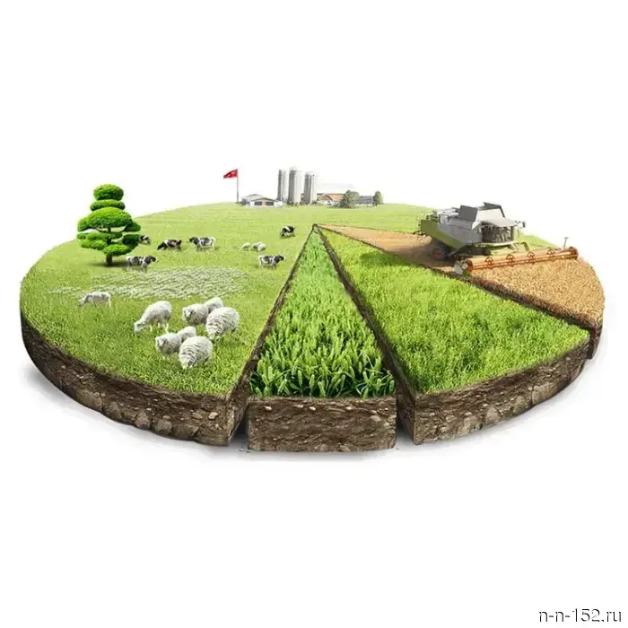 Notice No. 2057 on the provision of land for lease for agricultural production