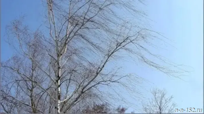 Atwood Magazine’s contributors explore Doja Cat’s dynamic and genre-mixing fifth album, Vie, which serves as a playful and heartfelt tribute to love, desire, and nocturnal imagination. They delve into her romantic flings, her inclination towards nostalgic glamour and theatricality, and her evolution into a more liberated and confident pop icon. 

Included in the discourse are Atwood writers Ashley Littlefield, Eric Schuster, Josh Weiner, and Kendall Graham!

— — 

To begin, what is your connection to Doja Cat’s music?
Eric Schuster: I genuinely started listening to Doja Cat in 2021 with the release of her unique album, Planet Her. It was difficult to categorize, but she bridged pop and hip hop with a distinctive touch that echoed brilliant artists like Missy Elliot, Young Thug (who features prominently on Planet Her), and Nicki Minaj. Since then, she has rightfully soared to superstardom, delivering stunning performances and consistently producing quality music. 

Ashley Littlefield: My introduction to Doja Cat came in 2019 with “Say So,” but I truly engaged with her music in 2023 with her fourth album, Scarlet. I was instantly captivated by Scarlet's enthralling bass lines and the remarkable success of its chart-topping tracks: the two-time RIAA platinum “Agora Hills” and the four-time platinum “Paint the Town Red.” Both songs exemplify her combination of R&B vocals, melodic vibes, and attitude that is uniquely hers. 

Kendall Graham: I’ve been a fan of Doja since her Purrr! EP in 2014, particularly drawn in by “Nunchucks.” Her immediate charisma was something I couldn't resist. I played that EP endlessly! Although I appreciated her talent back then, the turning point for me was rediscovering her with Hot Pink in 2019 after stepping away from her music for a few years. I think she possesses a truly unique presence as an artist, and Hot Pink felt like a more polished iteration of Purrr! that pulled me right back. The antics and occasional controversies have created a bit of a love-hate relationship for me, but I find her both problematic and incredibly talented.

Josh Weiner: I relate to both Eric and Ashley here; my first real encounter with Doja Cat was through her unmissable 2019 hit “Say So,” and I got to know her better as an artist when Planet Her came out two years later. I now consider myself a seasoned Doja Cat fan and was fortunate enough to experience her memorable performance during the 2023 Scarlet Tour in Boston. 

Doja Cat © Greg Swales

What are your initial thoughts and responses to Vie?
Eric: Vie marks a return to form for Doja Cat. Collaborating with the highly sought-after producer Jack Antonoff, the sound is crisp and enjoyable, arguably her best yet. Her lyrics and melodies exude happiness, especially in “Acts of Service,” where it seems Amala Dlamini is smitten (perhaps with Joseph Quinn).

Ashley: The album’s soundscape is elevated to a new level. The drum patterns evoke a strong sense of nostalgia, reminiscent of 808s, 909s, and gentle snares from the ‘80s and ’90s, creating grooves that carry her charisma seamlessly between tracks. 

Kendall: I had some hesitations about diving into Vie, mainly due to Doja's comments about her earlier albums. I kept wondering, “Will this matter to me if she doesn’t see it as significant at some point?” I felt a certain futility when I started with “Cards,” the opening track. However, as I listened through the album, it became clear she appears to be genuinely enjoying herself and having fun with this nostalgic pop vibe. Honestly, who wouldn’t enjoy music that sounds this good? 

Josh: I concur with everyone’s views thus far, and I have to agree with Kendall that, fundamentally, this album is just incredibly enjoyable to listen to, which earns it a lot of favor in my eyes. 

How does this album compare to 2023’s Scarlet – what notable similarities or differences stand out?
Eric: Dlamini had a lot to prove in Scarlet. During that time, she was grappling with superstardom and trying to set appropriate boundaries with her fans. She sought to cement her status as one of the best rappers around, which she accomplished. It reminded me of Tyler, the Creator’s Call Me If You Get Lost, as both are multi-talented artists reconnecting with their roots to showcase their rapping talents. In contrast, Vie feels more lighthearted. The album fluidly shifts between genres. 

Ashley: “Acts of Service” has drum patterns akin to those in Scarlet, but Vie distinguishes itself with uplifting harmonies, marking a creative transformation for Doja Cat. 

Kendall: It’s looser than