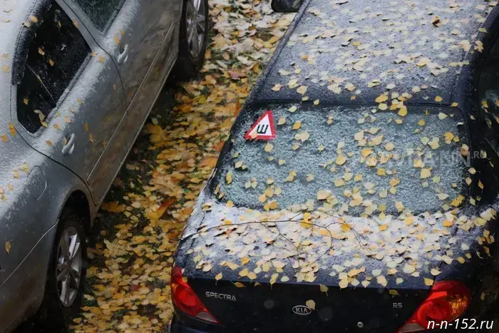 Wet snow, accompanied by downpours, may arrive in Nizhny Novgorod Oblast in late September.
