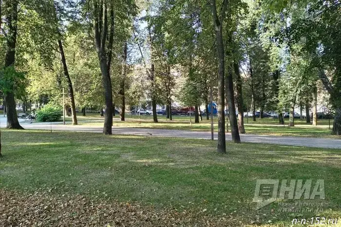 Autumn gains ground: a sharp cold snap is expected in Nizhny Novgorod.