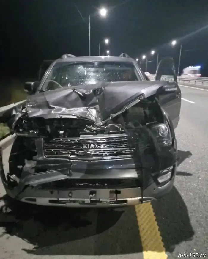 Five people were injured in a traffic accident on the M-12 highway in the Nizhny Novgorod region.