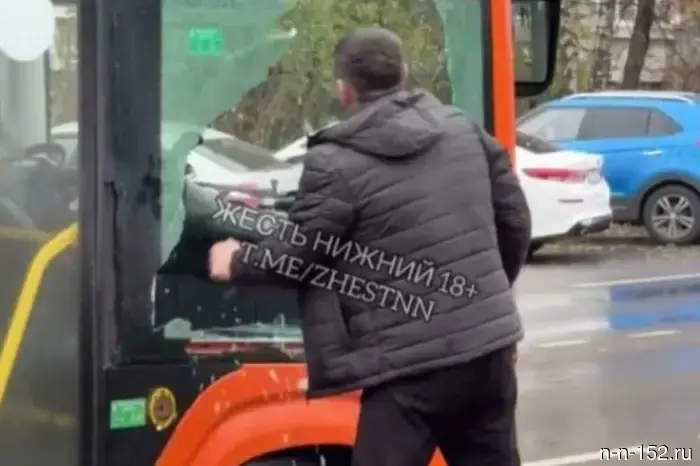 Мигранта признали виновным в нападении на автобус в Верхних Печерах.