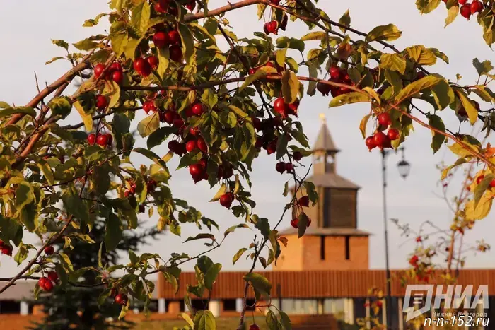 Cool weather without rain will settle in Nizhny Novgorod over the weekend.
