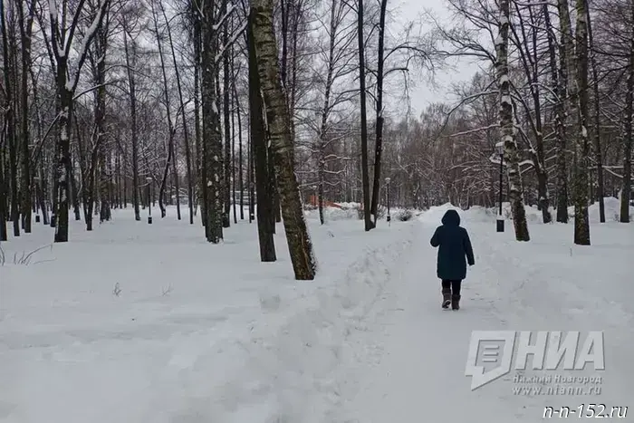 Almost 199 million rubles will be allocated for the renovation of Nizhny Novgorod's 777th Anniversary Park.