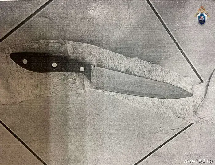 A woman from Nizhny Novgorod was sentenced to eight years in a penal colony for attempting to kill her own mother.