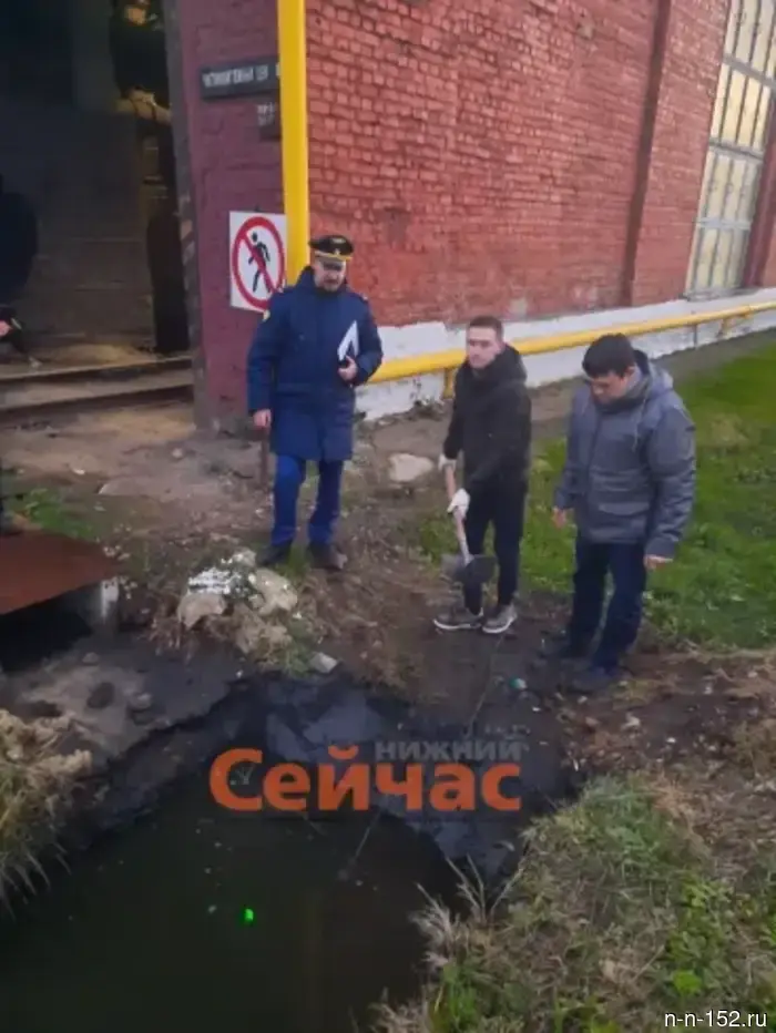 В Первомайске заведено уголовное дело в связи с разливом сточных вод с предприятия.
