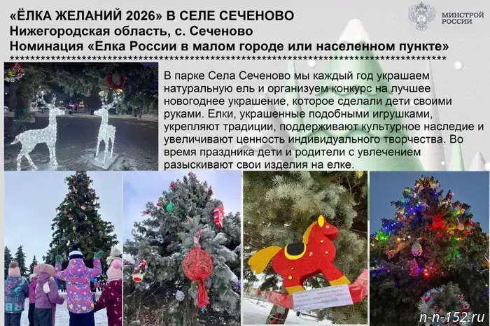 Nizhny Novgorod residents are asked to support the region's New Year's trees in the "Yolki Rossii" contest.