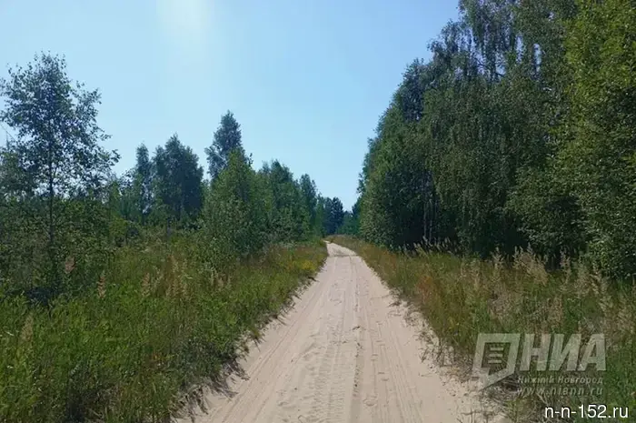 Убытки от незаконной лесозаготовки в Нижегородской области превысили 6 миллионов.