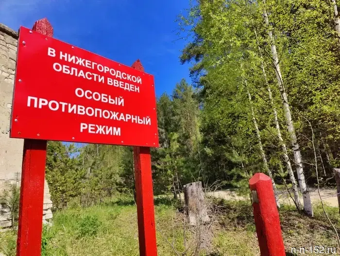 The Ministry of Forestry reminded about fire safety in forests before the weekend.