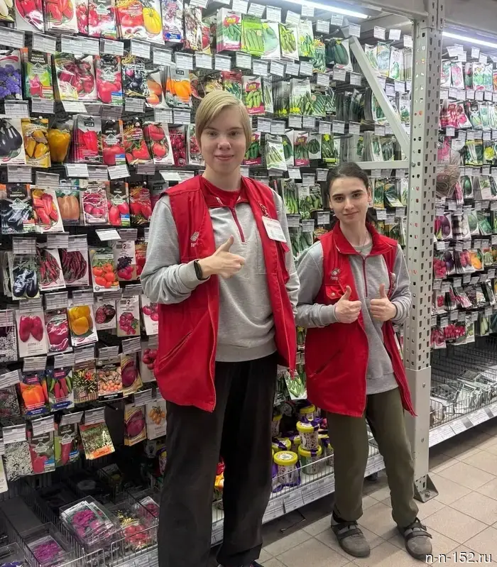 В Нижегородской области в течение четырех лет были приняты решения по 14 жизненным ситуациям в рамках Национальной социальной инициативы.