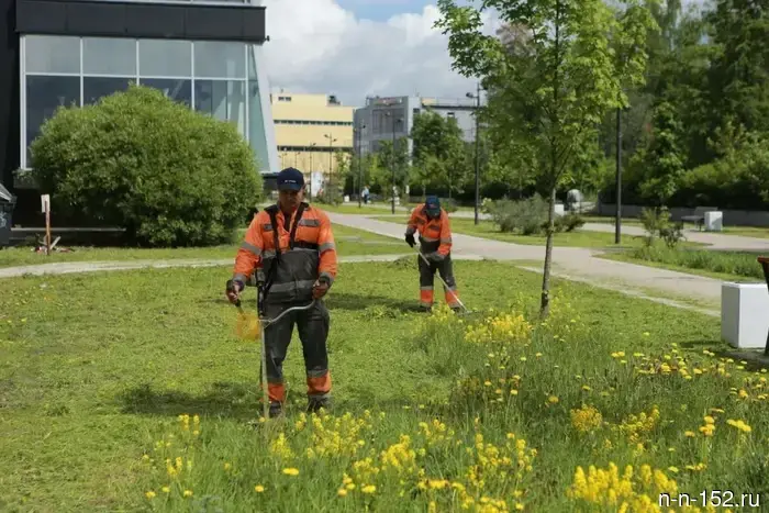 When you can complain about the noise of lawn mowers outside your windows: lawyer's advice