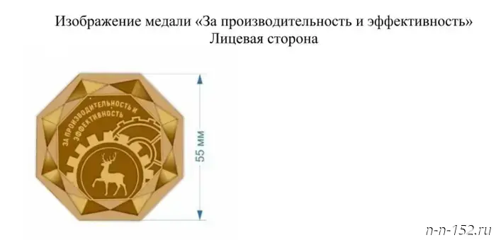 Никитин основал новую регнаградку — медаль "За эффективность и производительность".
