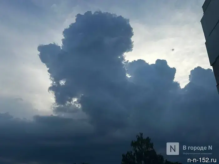 "I receive signals about all UFOs": the head of the Gorodetsky district - on rumors about UAVs