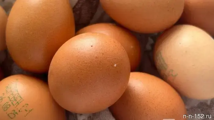 In Nizhny Novgorod, people were hospitalized after eating 10 eggs each on Easter.