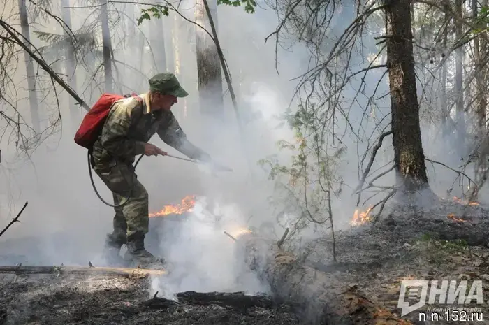 In the forests of Nizhny Novgorod, the first and second classes of fire hazard have been established.