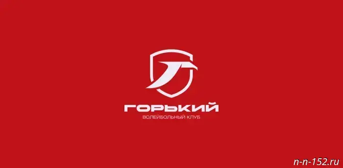 Новое название — новый стиль: мужской волейбольный клуб из Нижнего Новгорода обновил свой имидж.
