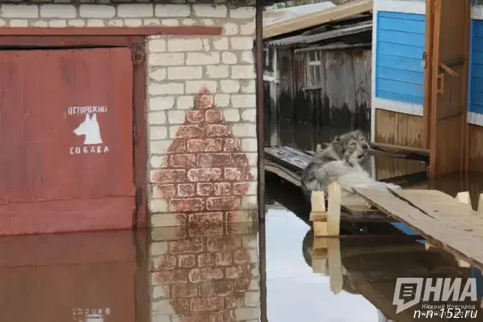Gleb Nikitin commented on the storm that swept through the Nizhny Novgorod region.