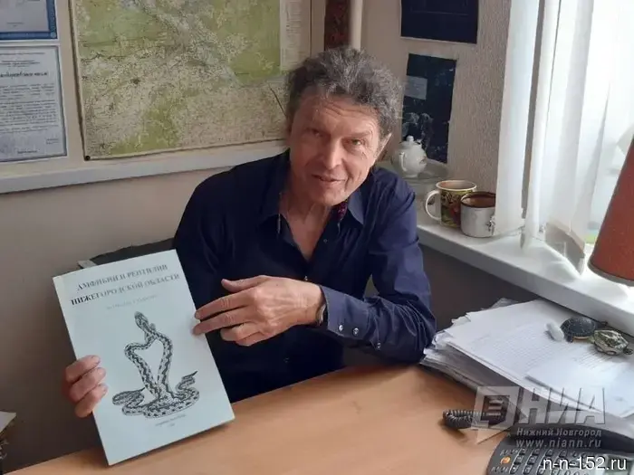 A biologist from Nizhny Novgorod explained how to behave when encountering a viper in the forest.