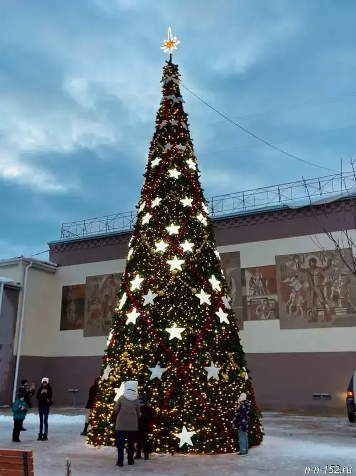 Жителей Нижнего Новгорода приглашают поддержать новогодние ели, представленные от региона в всероссийском конкурсе «Елки России».