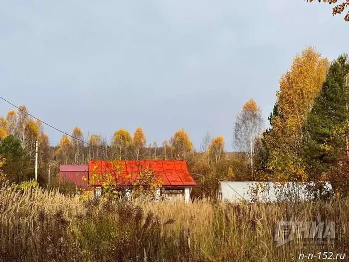 Названия двух деревень Нижнего Новгорода попали в список самых забавных в России.
