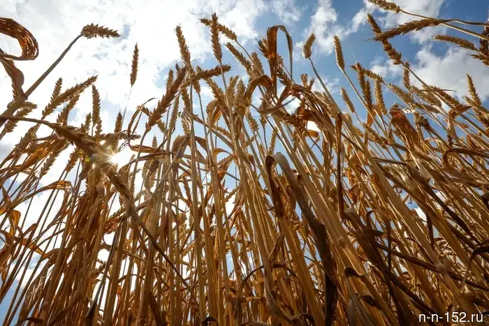 На заводе в Нижегородской области нашли продукцию будущего.