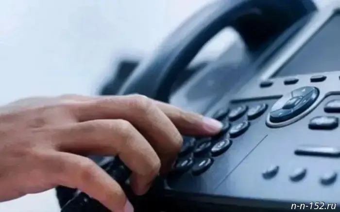 Entrepreneurs in Nizhny Novgorod will be able to receive advice on placing non-stationary retail outlets via a hotline on November 18.