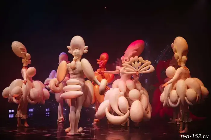 "Affective" Baroque: the Nizhny Novgorod Opera Theatre will present the premiere of a pasticcio