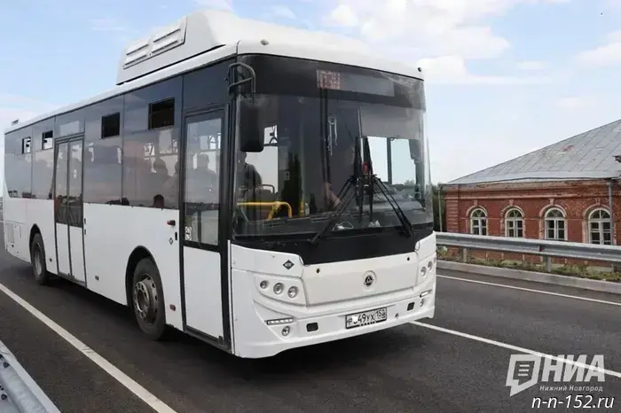 Carriers in the Nizhny Novgorod Region were caught in thousands of violations.