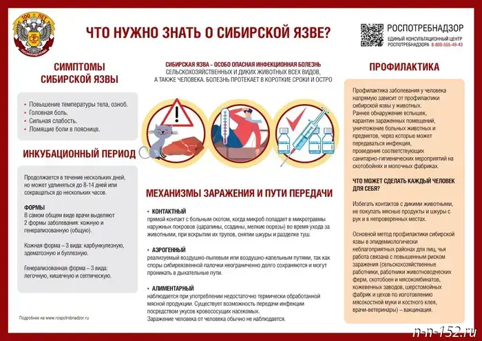 Памятка для граждан "Меры профилактики сибирской язвы"