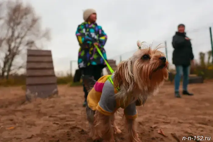 Социальные участковые сыграли важную роль в преобразовании пустыря в современный сквер на Автозаводе.