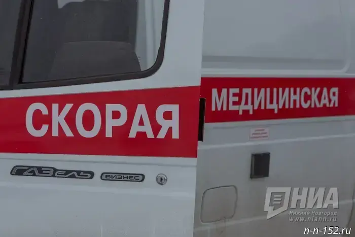 Лось появился на дороге перед автомобилем у Семенова: двое пострадали и оказались в больнице.
