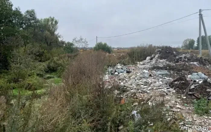 A Nizhny Novgorod resident will pay 1.9 million rubles for an illegal dump in the Kstovsky District.