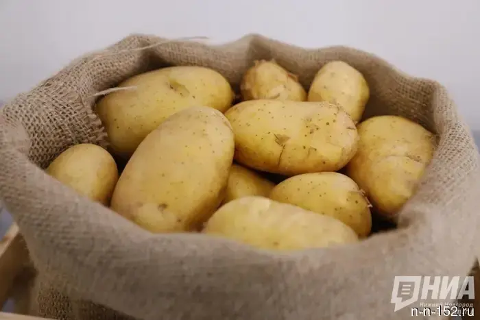 A potato flakes production facility worth 3 billion rubles will be built in Arzamas.