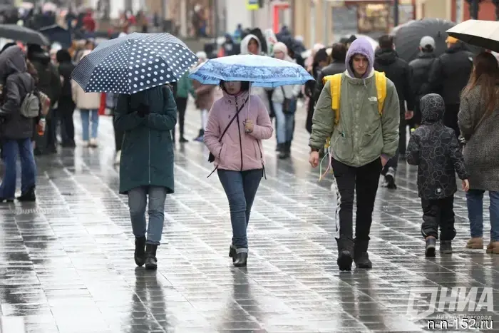 Residents of the Nizhny Novgorod region have been warned about winds with gusts up to 20 m/s.