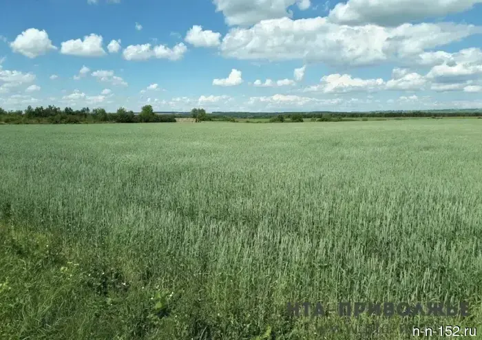 Folk signs: June 13
