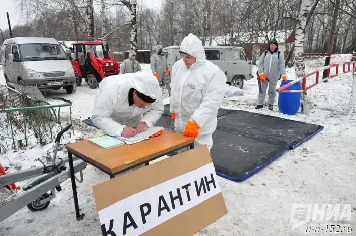 В МЧС обозначили нижегородские муниципалитеты, где существует риск распространения бешенства.