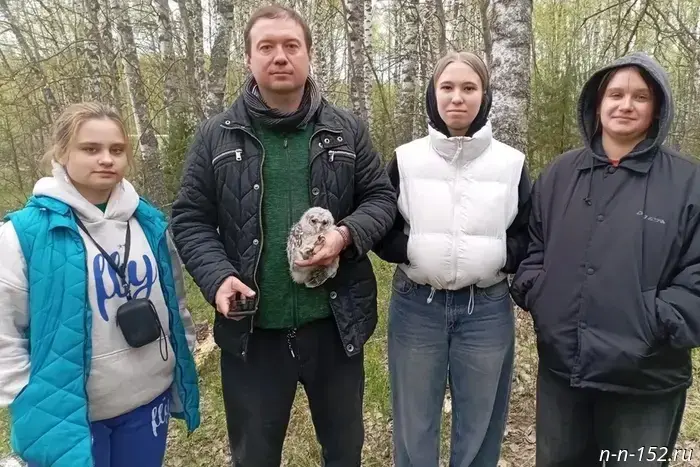 Young ecologists rescue rare birds in the Nizhny Novgorod region