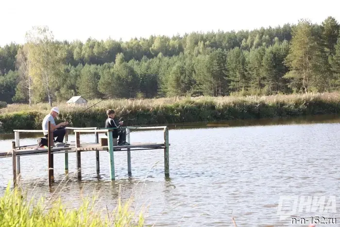 Nizhny Novgorod utility workers were forced to install fish protection at the water intake.