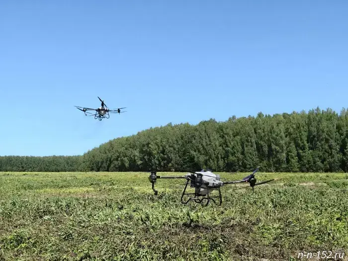Drones have begun to be implemented in the agricultural sector of the Nizhny Novgorod region.