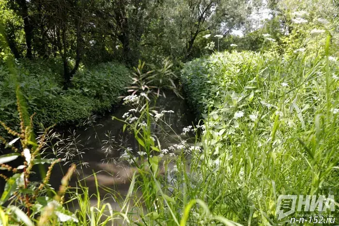 Предложено изменить русло реки Ржавки в Нижнем Новгороде.