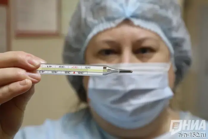 The mutated swine flu threatens Nizhny Novgorod residents in early September.