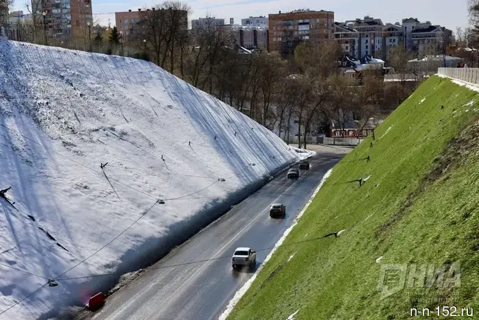 Фото дня: зима и весна переплетились на съезде Зеленского.