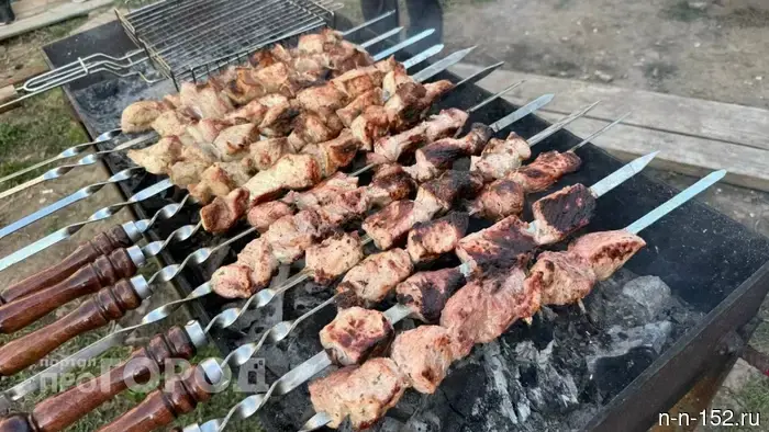 Nizhny Novgorod dacha owners face a fine of up to 20,000 rubles for barbecuing on their property.