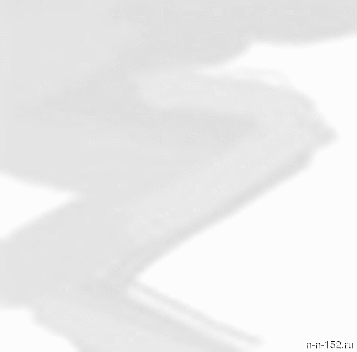 В Нижегородской области местный житель подозревается в убийстве своего брата (оперативное видео, видео-комментарий).