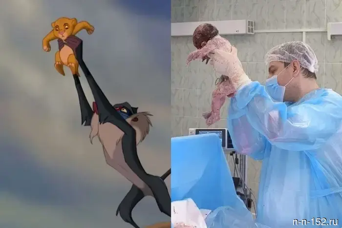 Культовая сцена из "Короля Льва" была воссоздана в перинатальном центре Нижнего Новгорода.