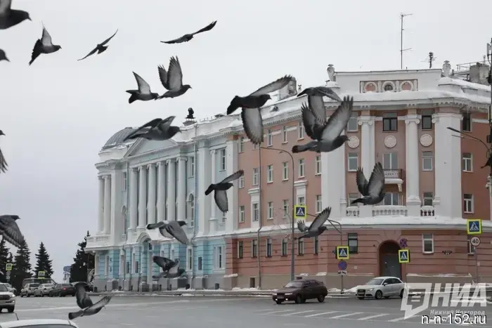 Где студенту арендовать квартиру в Нижнем Новгороде: анализ цен.