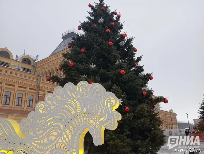 Ecologist Batashev explained whether an artificial Christmas tree can harm your health.